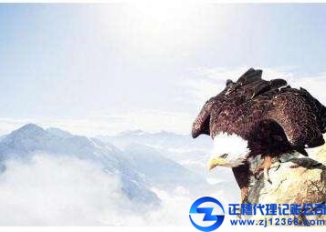 廣州代理記賬機構(gòu)